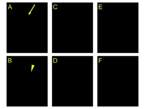 how to create images for research paper